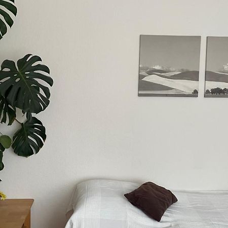 Fewo Oberhausen-Alstaden Oberhausen  Esterno foto