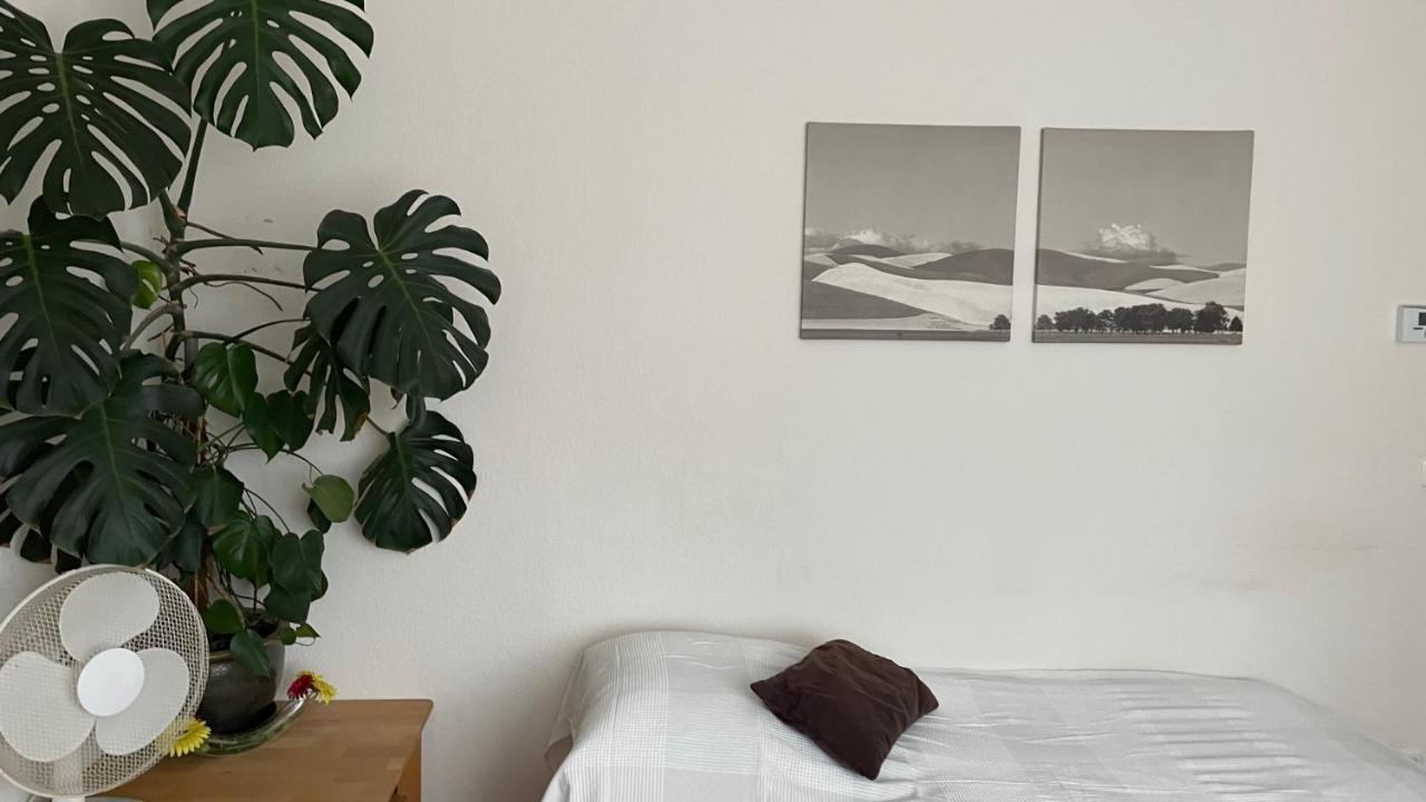 Fewo Oberhausen-Alstaden Oberhausen  Esterno foto